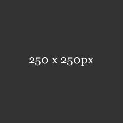 网站攻击软件